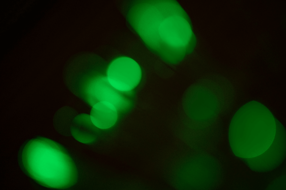 緑色の光が見えるときのスピリチュアルな3つの意味とは？